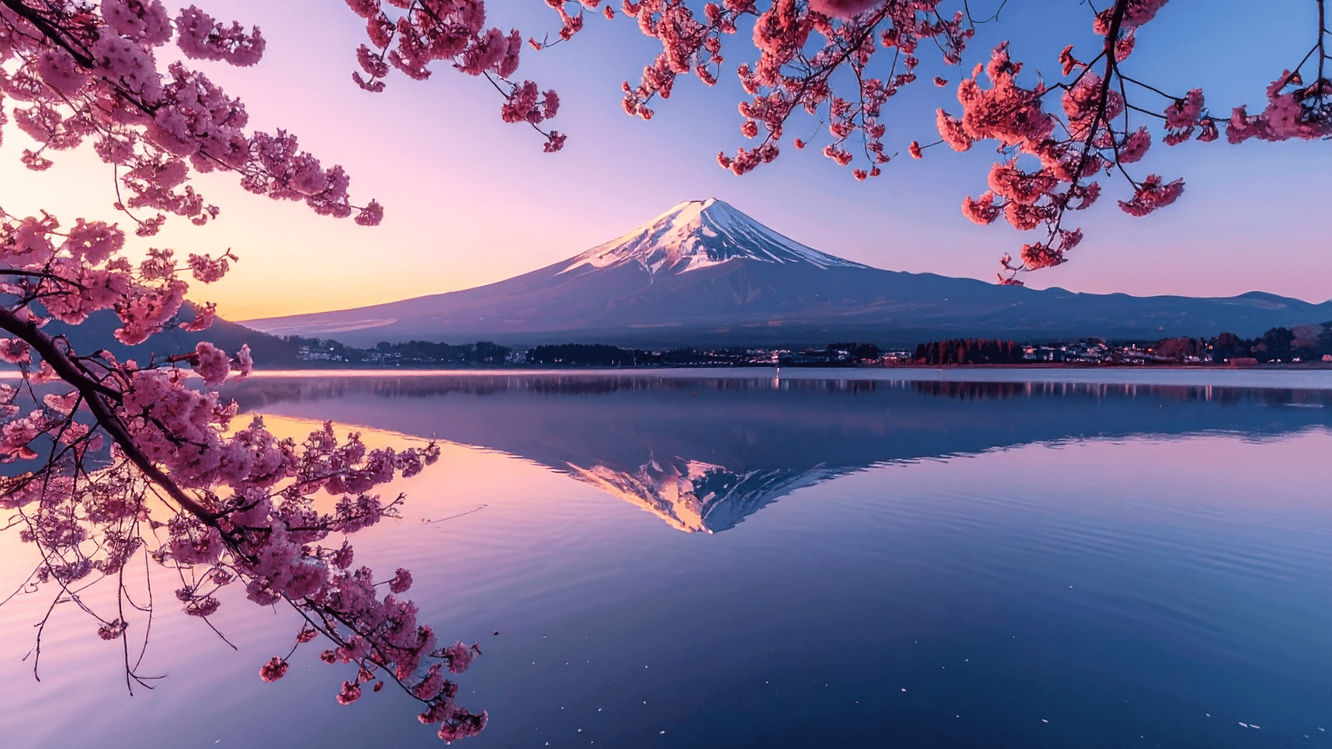 Cherry Blossom Season in Korea!