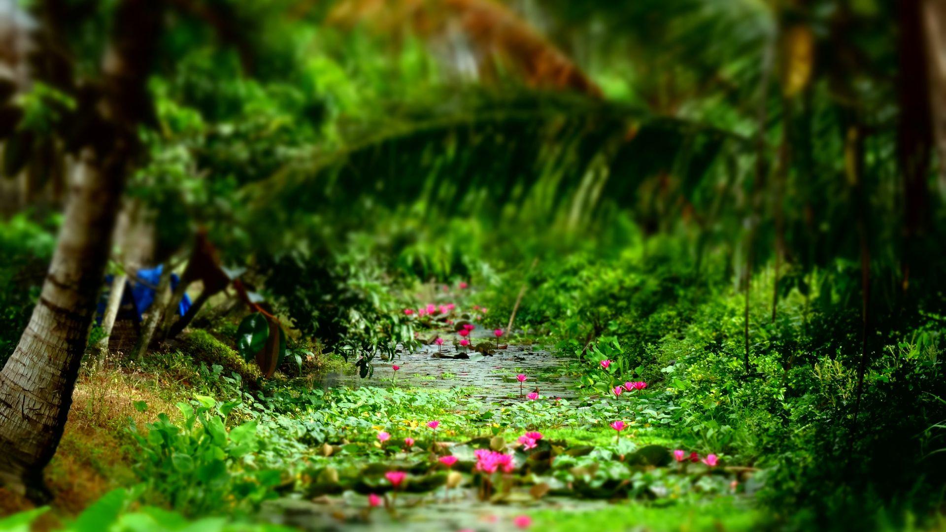 Vietnam Highlights Escape: From Hanoi to Ho Chi Minh