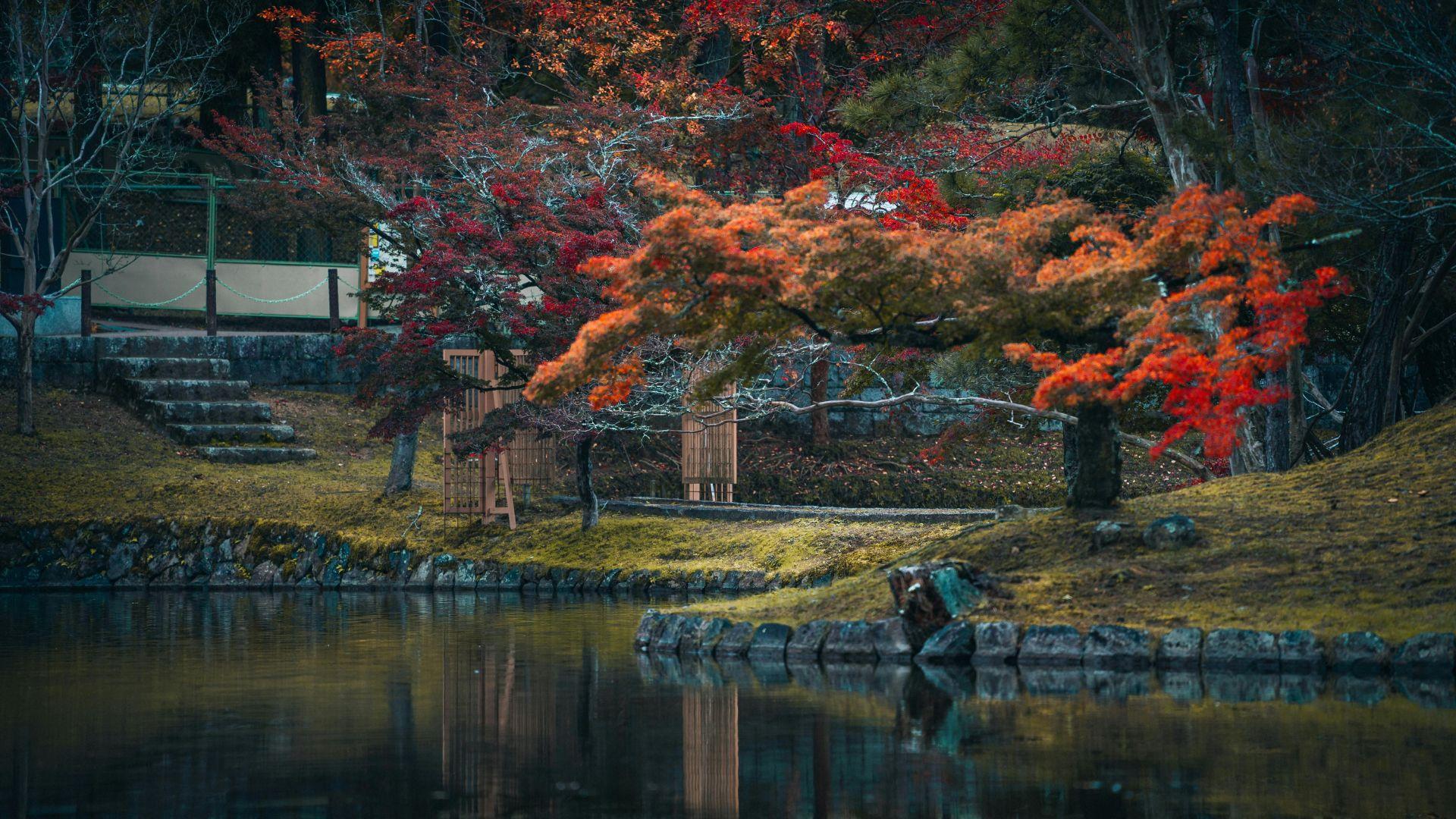 Discover the Best of Japan