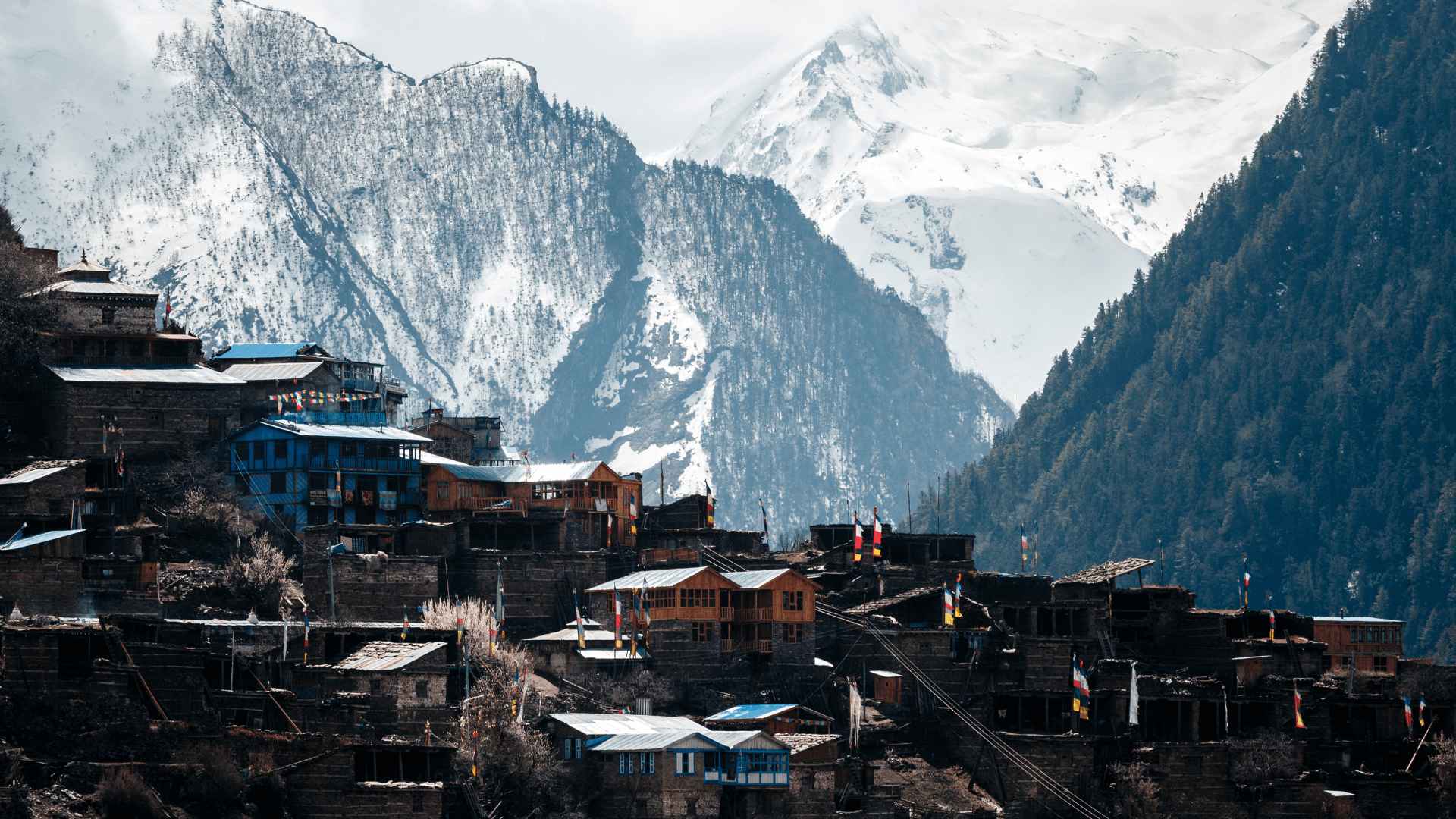 Annapurna Circuit Trek