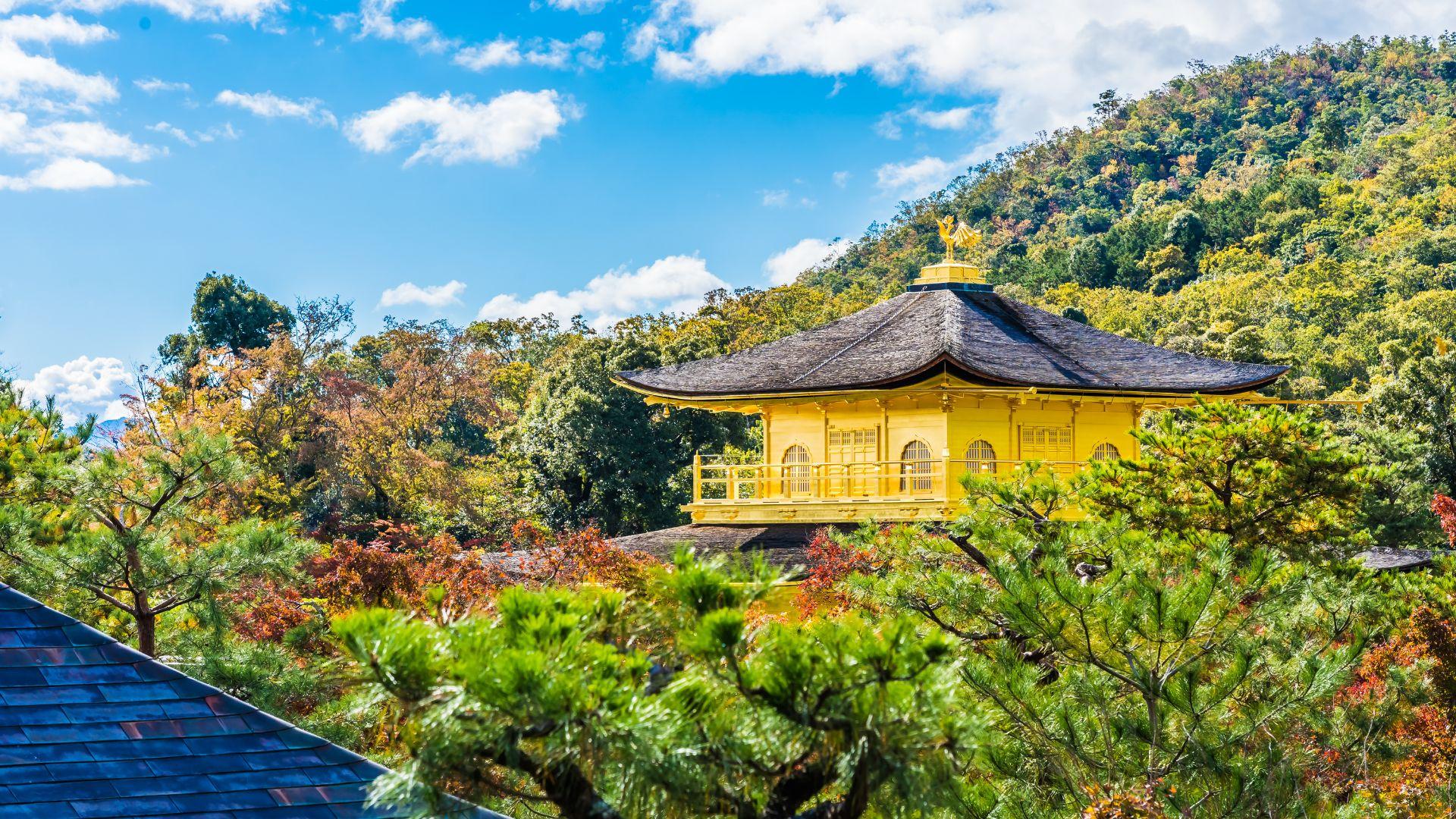 Discover the Best of Japan