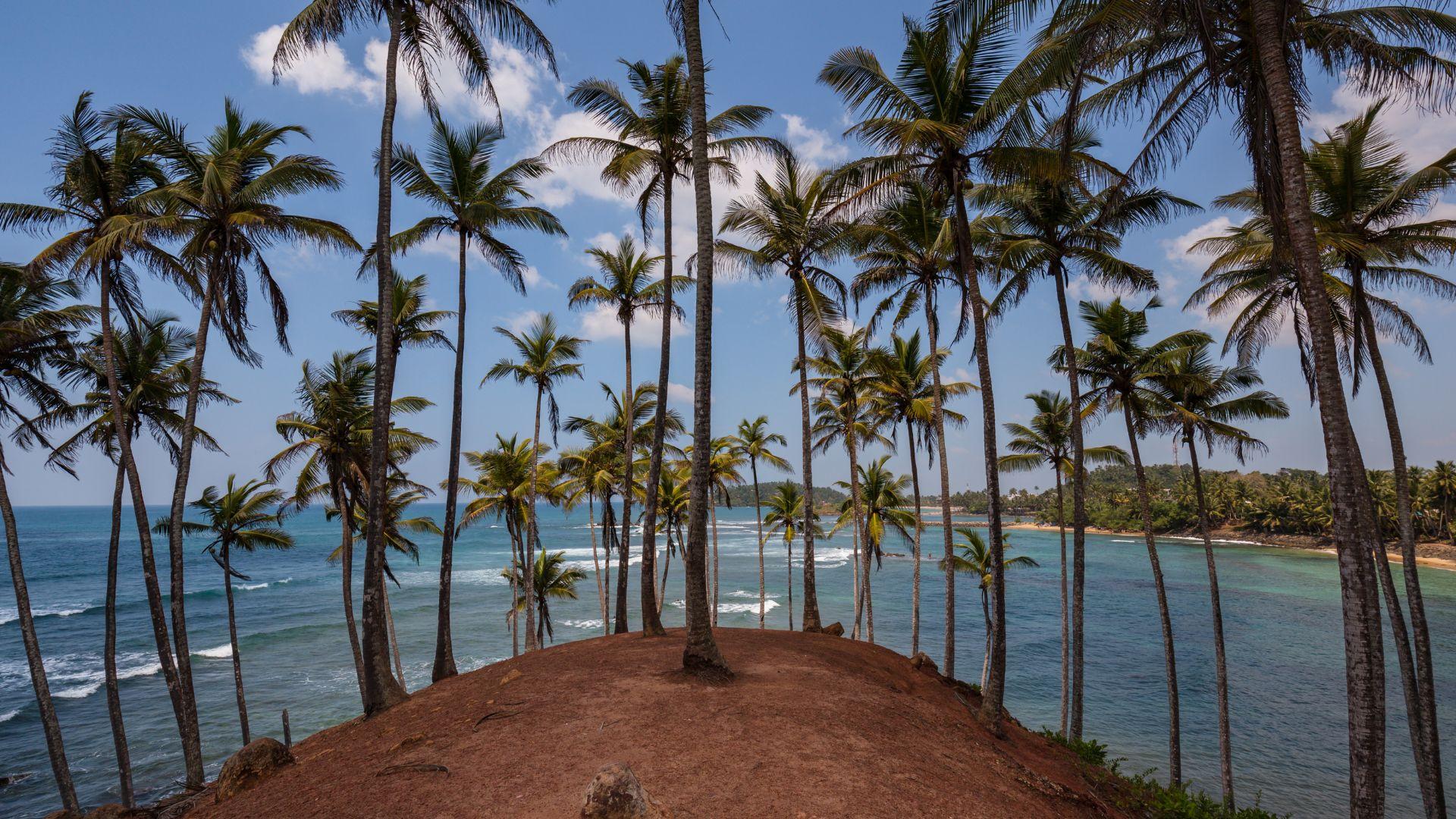 Ayubowan! Welcome to Sri Lanka