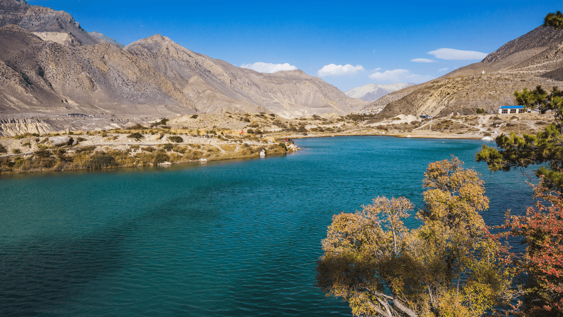 Annapurna Circuit Trek