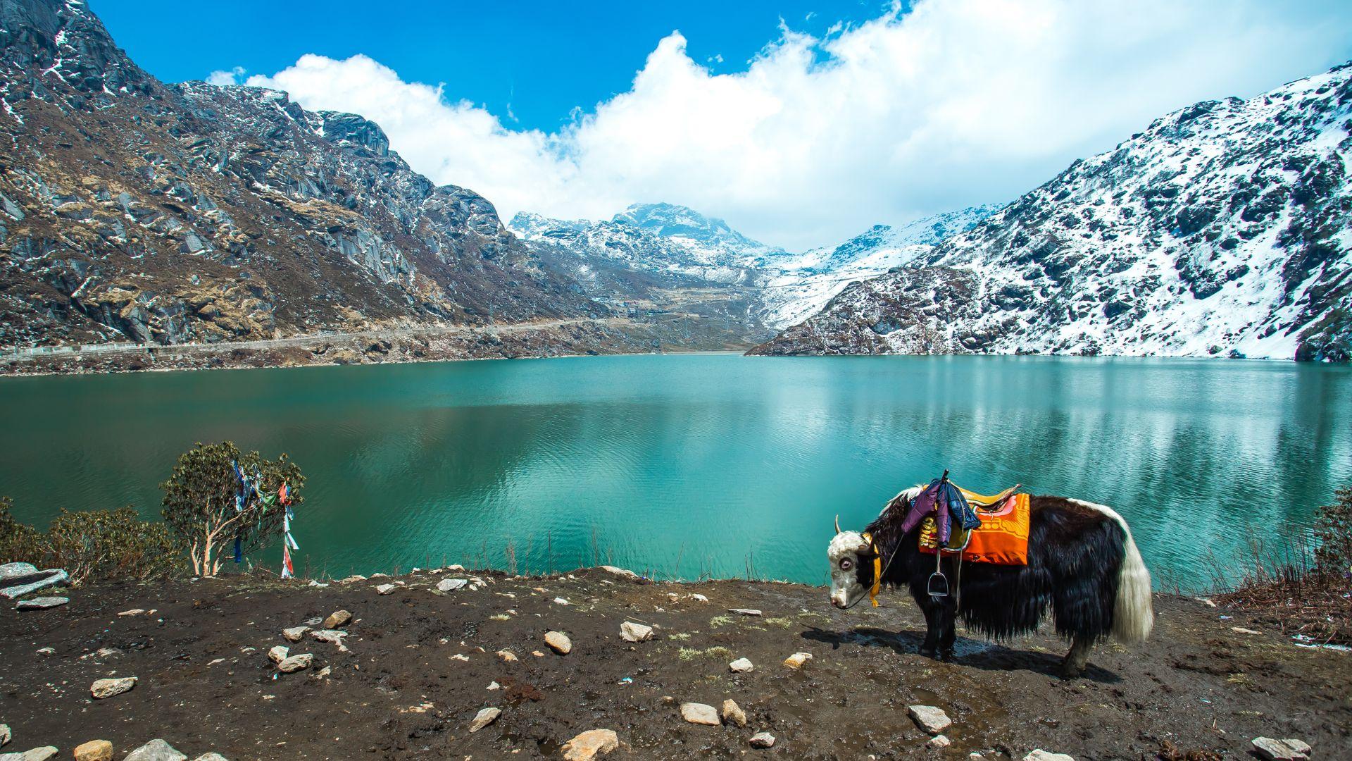 Himalayan Wonders: Sikkim & Darjeeling Escape