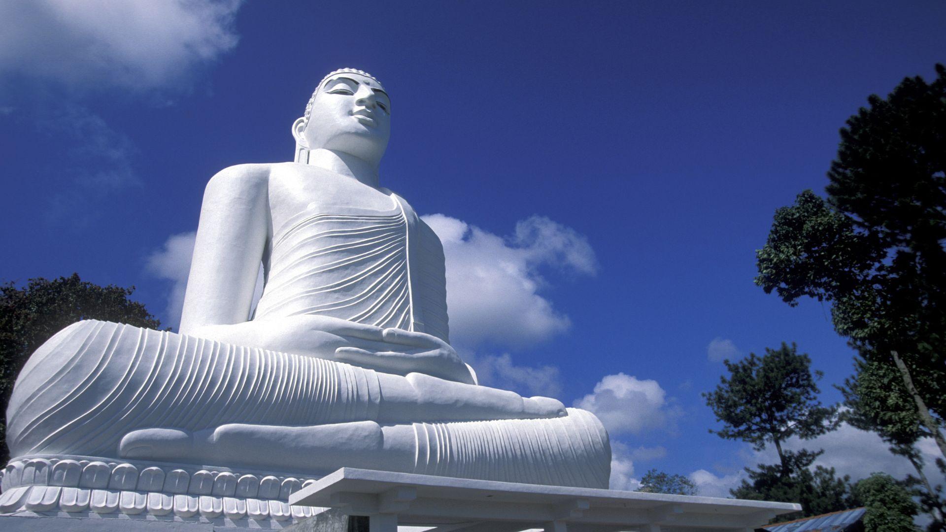 Ayubowan! Welcome to Sri Lanka