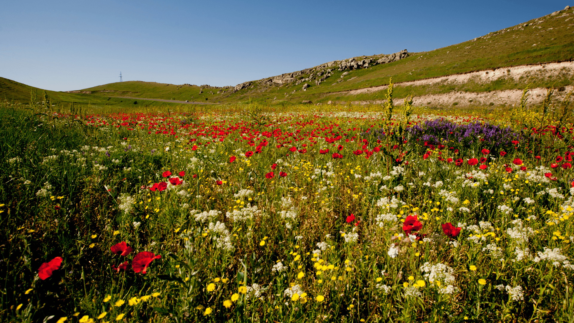 Experience Armenia in a Flash