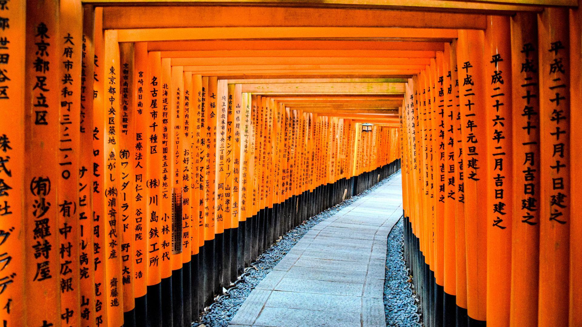 Discover the Best of Japan