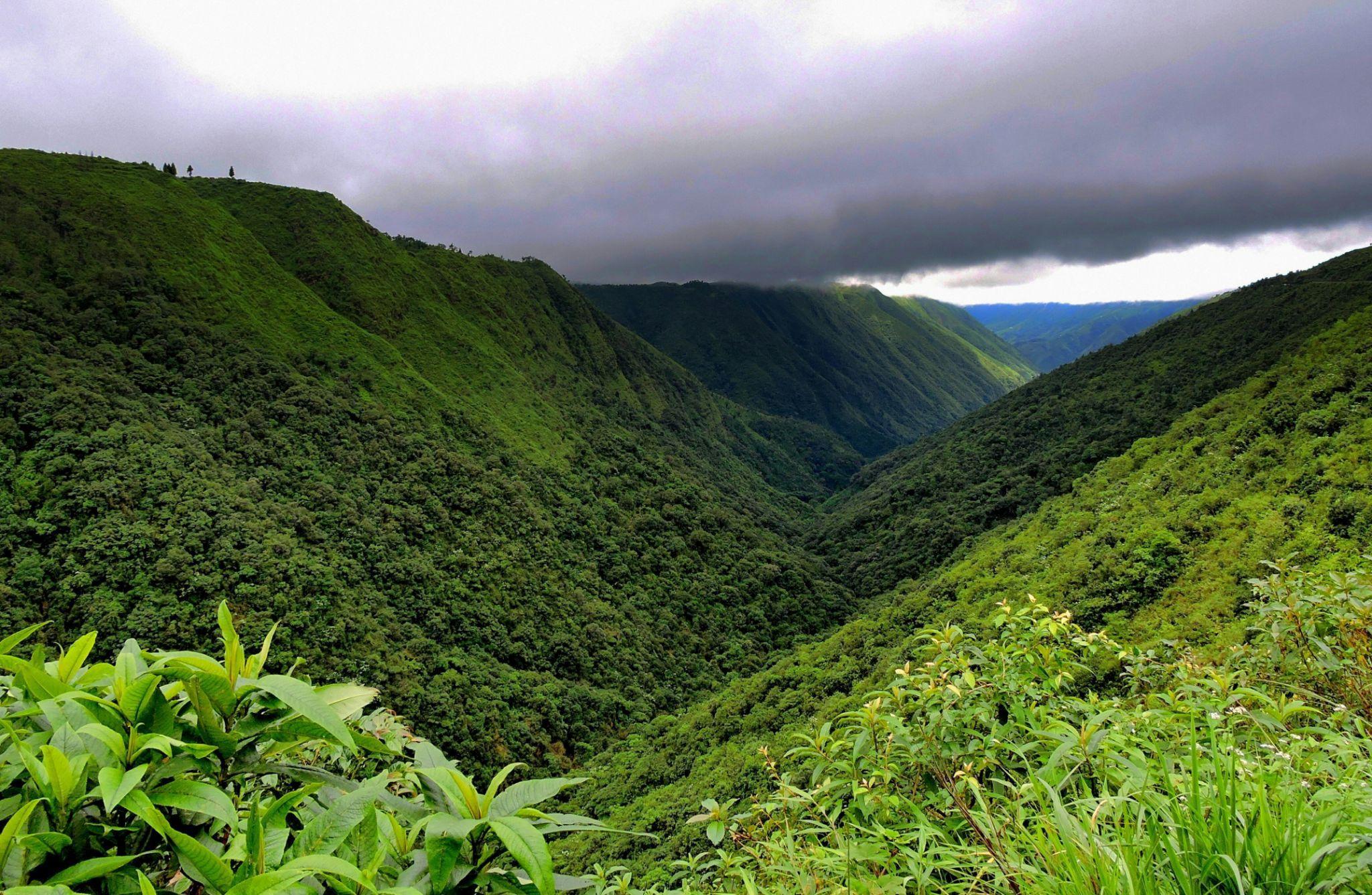 Scenic Trails of Shillong, Cherrapunji & Guwahati