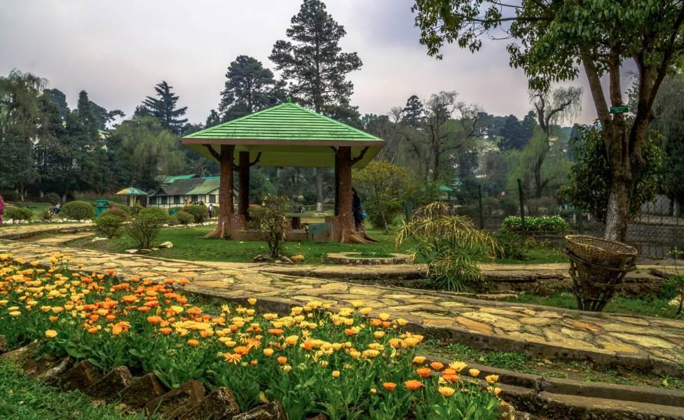 Scenic Trails of Shillong, Cherrapunji & Guwahati